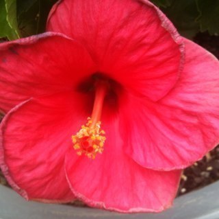 1gantx's profile picture. 