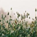 Velma Moore - @moor25 - Twitter