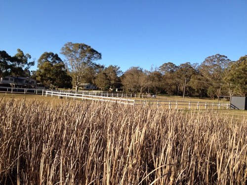 michael_power62's profile picture. 