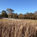 Michael Power - @michael_power62 - Twitter