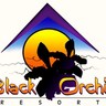 BlackOrchidRes's profile picture. Our eco-friendly jungle resort is an excellent alternative to Belize City & perfect gateway to explore Belize!
http://t.co/AY322AIO