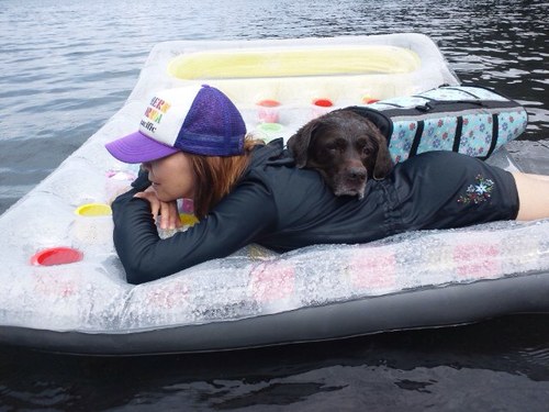 refleshome_t's profile picture. さいたま市の親切な不動産屋です。毎週土日は、さいたま市の何処かで、現地販売会をやってまーす。不動産の事なら何でもご相談下さい。因みに好きなものはビールです。動物は何でも好きです。我が家にはチョコラブ11歳が居ります。可愛くて、彼女の喜ぶ顔を見るのが一番幸せを感じます。