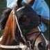 Cres Ran LLC (@cresran) Twitter profile photo Cres Ran LLC (@cresran) Twitter profile photo