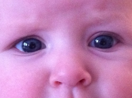 BrsumVibeke's profile picture. 