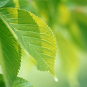 Ashlee Brewer - @TickleMekeeping - Twitter