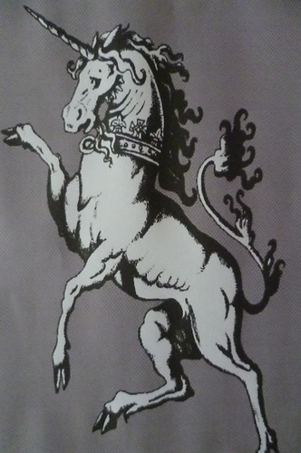 Unicorn Property Management.
Our aim is to provide our customers with a bespoke, forward thinking approach to property management.