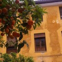 Anne Farrell - @AnneFarrell7 - Twitter