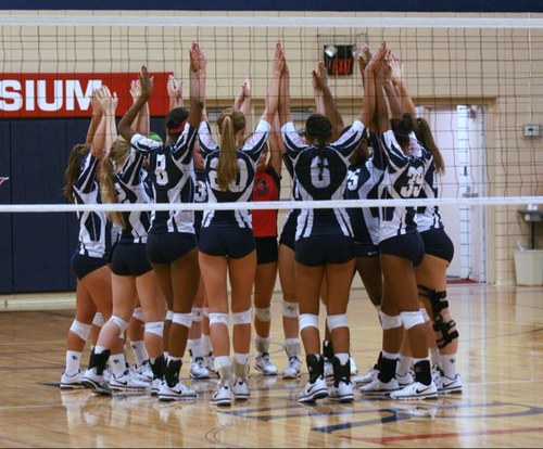 HartleyVEEBS's profile picture. 