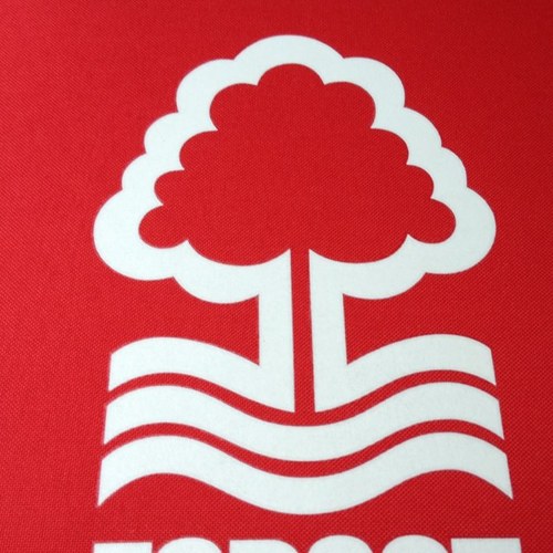 NffcN's profile picture. 