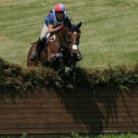 Sport Ponies UK (@teamspuk) 's Twitter Profile