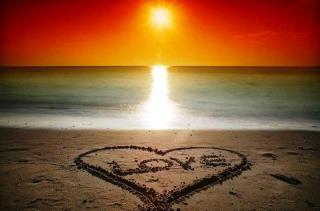 Rose42252635's profile picture. 