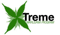 Cannabis Cup Secret Growing Techniques! Over 4 Hours Of Online Training and 500 Pages of Bonus Materials! Plus get 20% off of Bongs, Pipes, and Vaporizers!