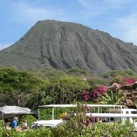 yukin5's profile picture. 