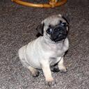 Vicky Rangel - @vic007rangel - Twitter