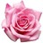 Idol_article_b's profile image