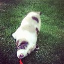 Ben wharton - @wharton_ben - Twitter