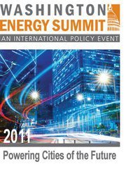 A range of innovative solutions will be required to meet expanding world energy demand: a one-size-fits-all approach won’t work.