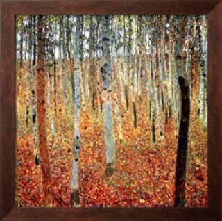 jkarst564's profile picture. 