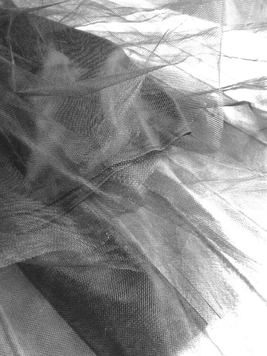 webcanvasvi's profile picture. Go to @Breeonica