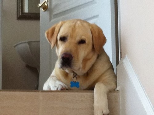 Eric03755's profile picture. 