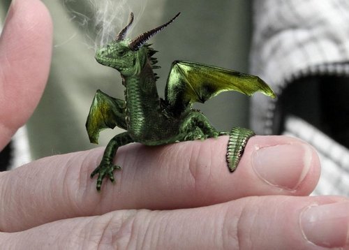 Just a little fire-lizard from another planet.