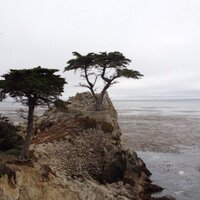 Jose  Camacho (@josecamacho866) 's Twitter Profile