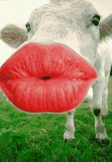 who_moo's profile picture. 