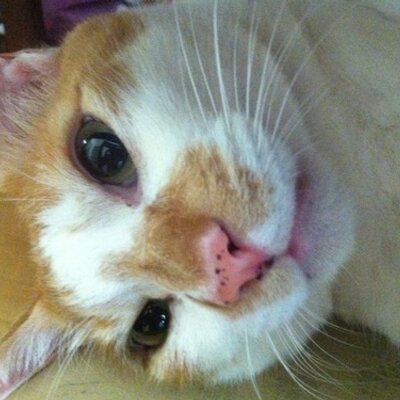 すだっち Sudachisasuke Twitter すだっち Sudachisasuke Twitter
