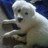 mihija39's profile image