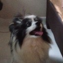 Gary Chua - @DrChUaDds - Twitter