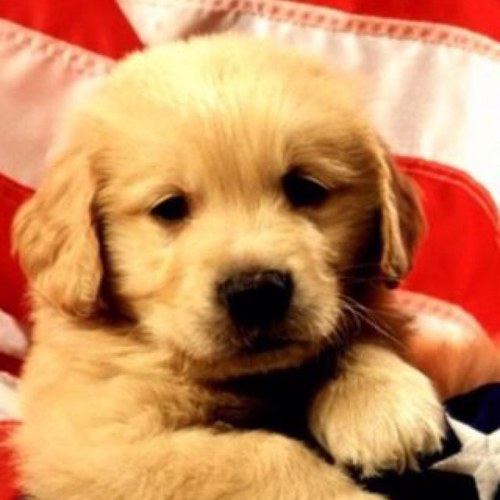 TriciaJayne's profile picture. 