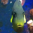 Warren Blanchard - @Simplythebest_ - Twitter