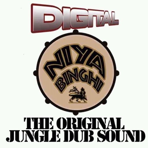 _niyabinghi's profile picture. 