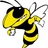 C.E. Byrd Football (@cebyrdfootball) 's Twitter Profile