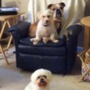 Sara Orth - @skorth83 - Twitter