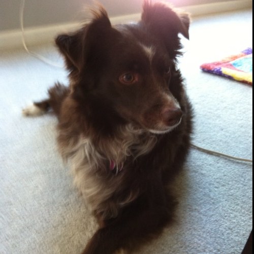 dee_buck32's profile picture. 