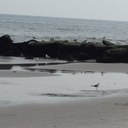 nelson - @TimHowe2 - Twitter