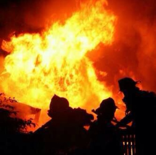 EUGENE13522523's profile picture. 