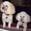 Deb Bennett - @debbennett_12 - Twitter