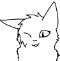 httpnewscatcom Profile Picture