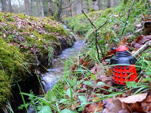 MICHIGANDALEK's profile picture. MICHIGAN DALEKS ARE SUPERIOR.