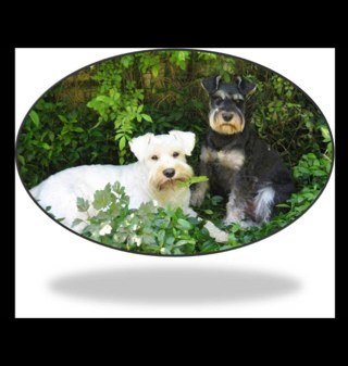 lilidhwood's profile picture. 