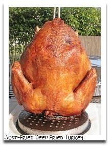 http://t.co/maoAPBMRTy for our blog, free PDFs and videos about how to deep fry a turkey!