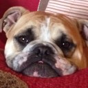 Rhonda Fields - @RFields8676 - Twitter