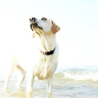 Jason Knox (@jasonbknox) 's Twitter Profile