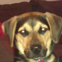 j30084's profile picture. 