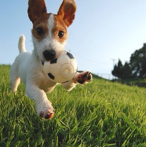 coveredmy6's profile picture. 