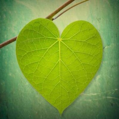 Kata Bijak Asmara в Twitter Cewek Lahir Bulan September