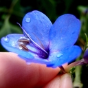 Tara Wise - @tarawise38 - Twitter