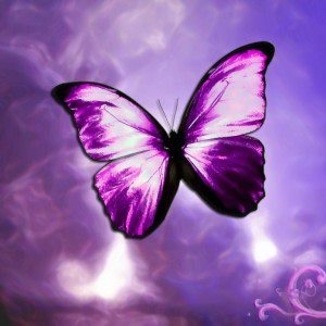 irishmariposa's profile picture. 